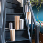 Collection Sunray