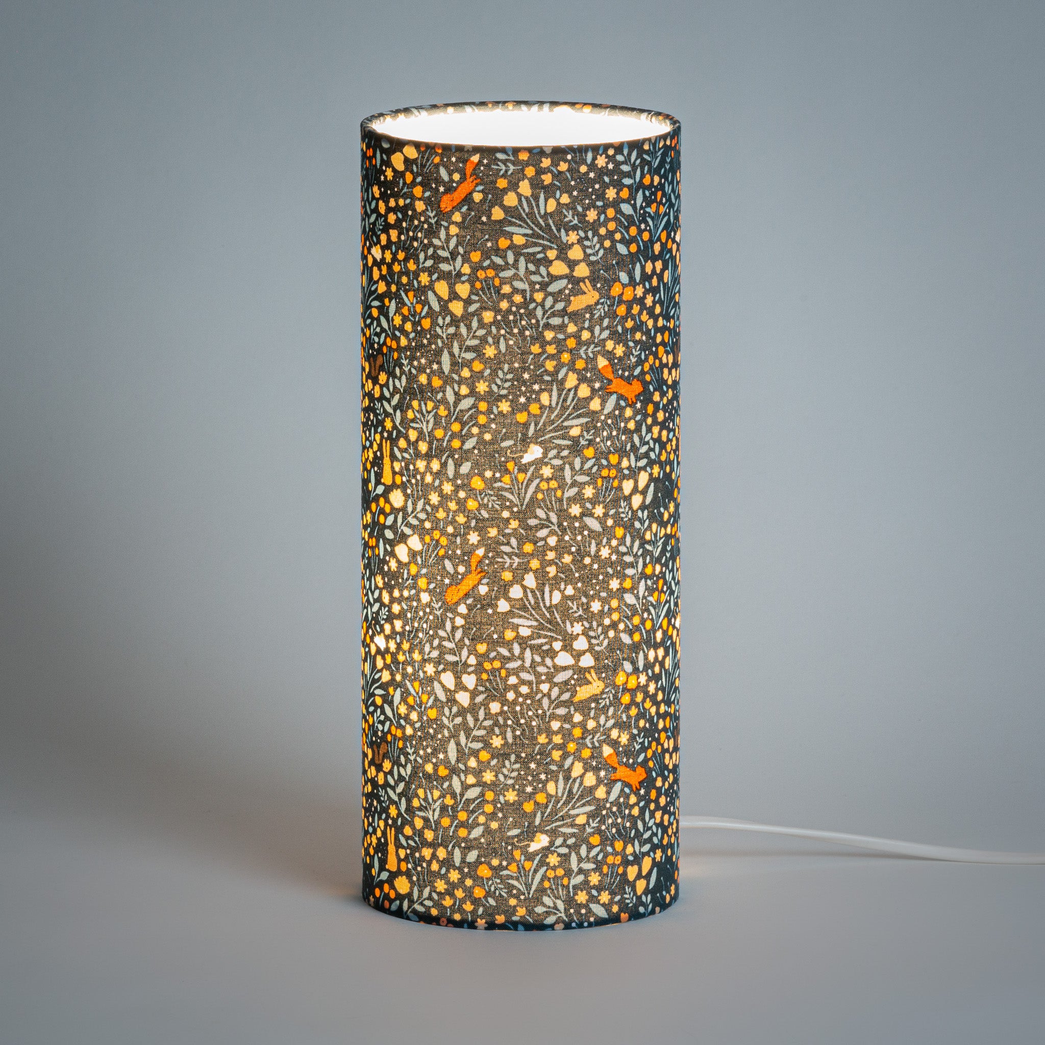 Lampe M